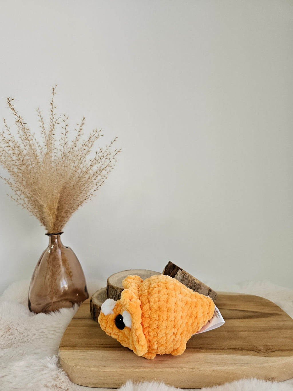 Mini Triceratops🧡