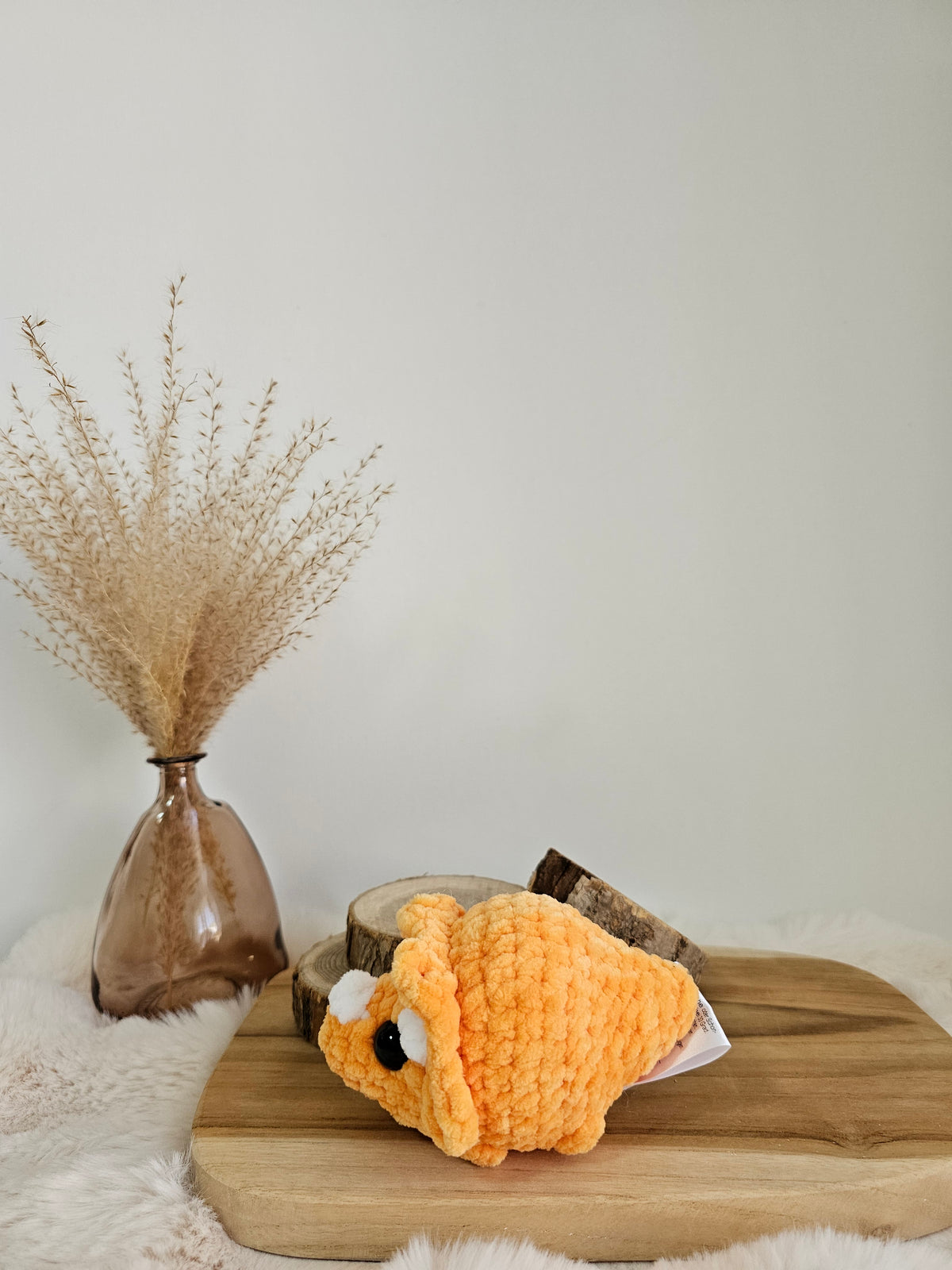 Mini Triceratops🧡