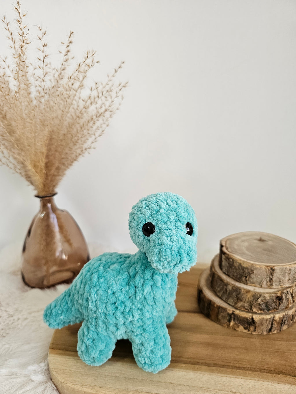 Mini Brontosaurus Pi🦕