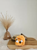 Mini Triceratops🧡