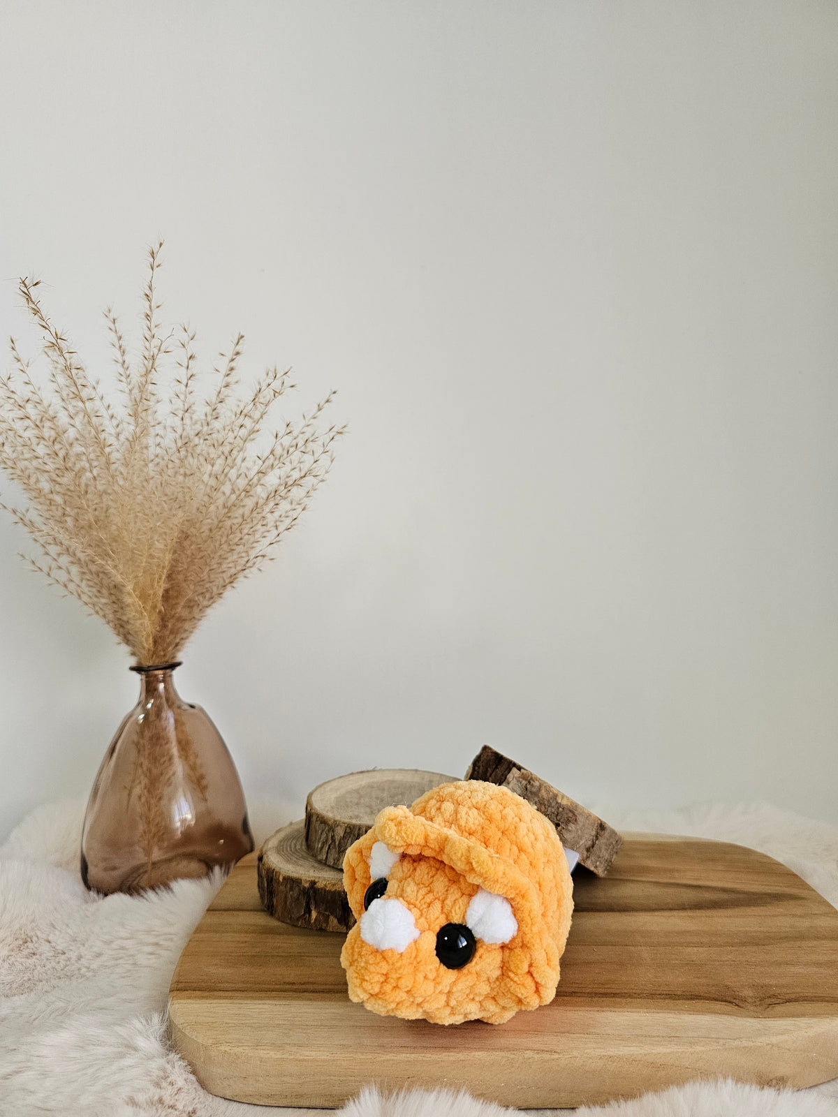 Mini Triceratops🧡