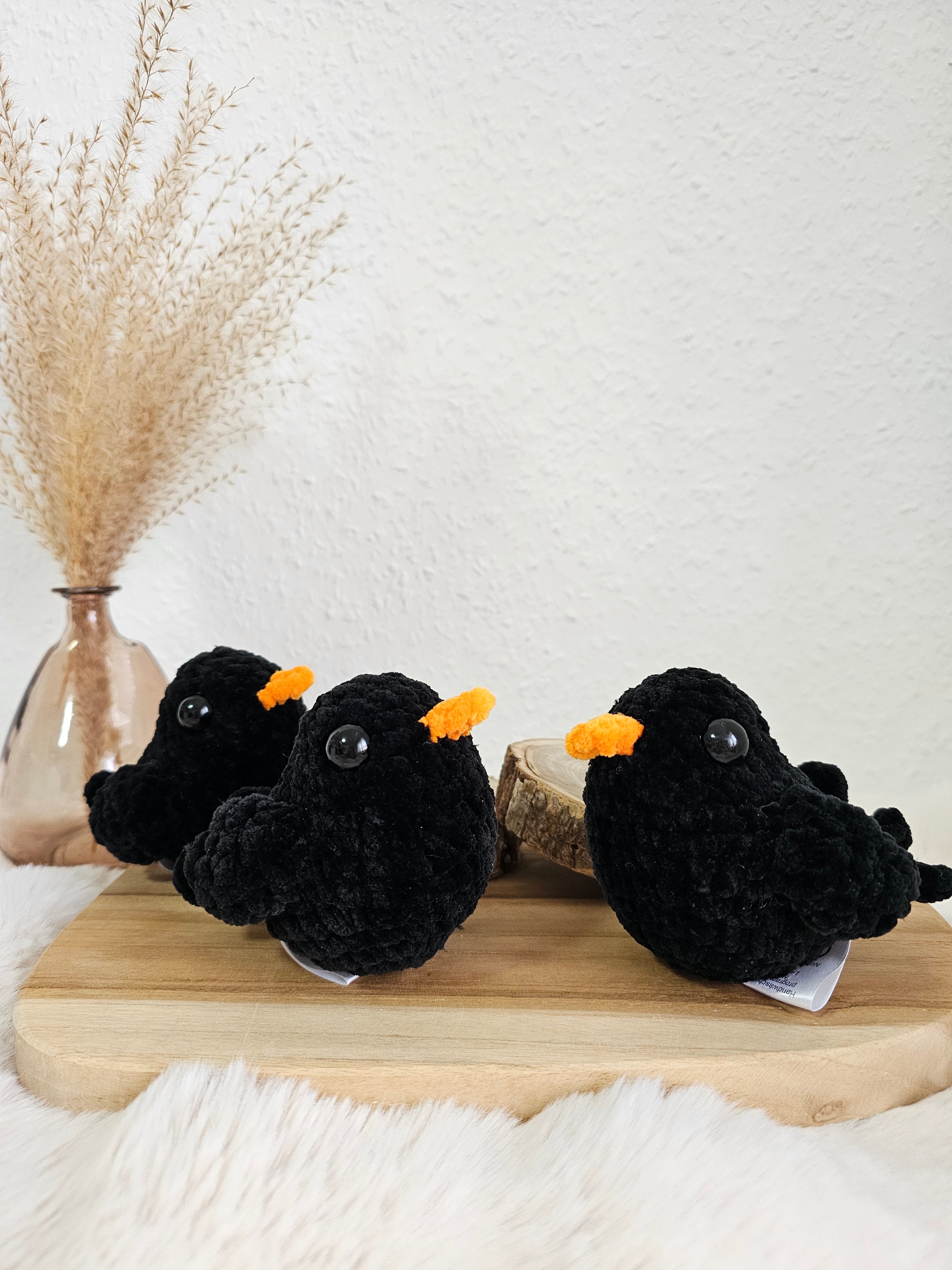 Drei Mini Vögel 🐦‍⬛